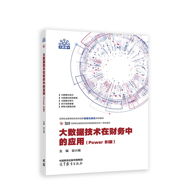 大数据技术在财务中的应用 基于Power BI的深度分析